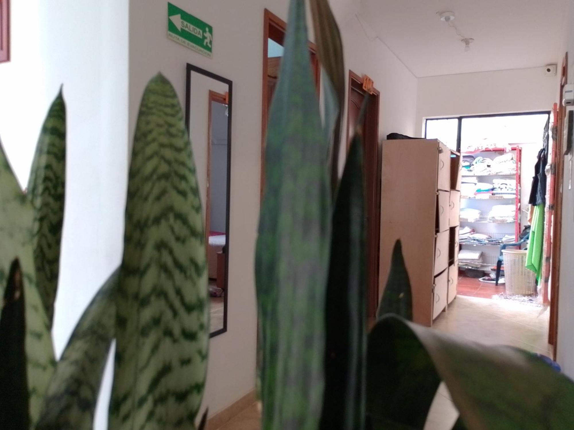 Family Host Hostel ビージャ・デ・レイバ エクステリア 写真
